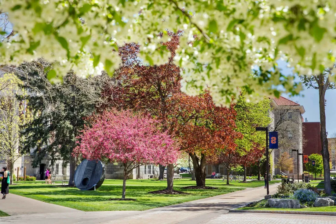 雪城大学校园里明亮的树木和鲜花.